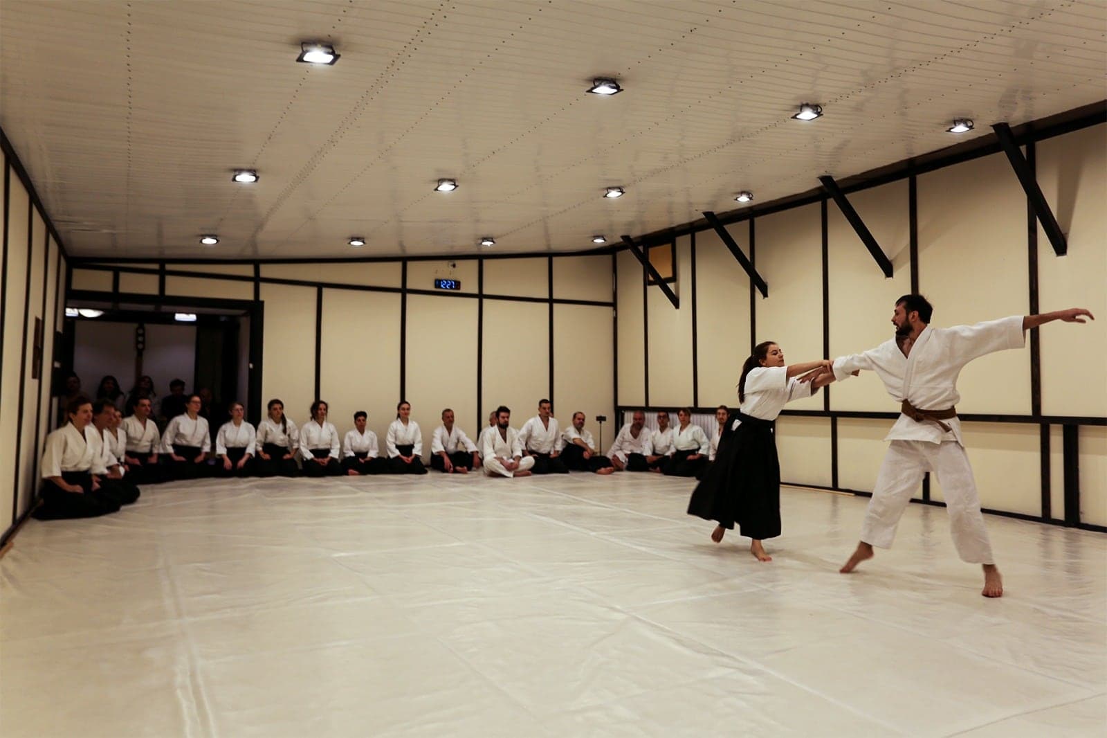 Practică de Ki Aikido, mișcare fluidă